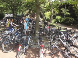 Impressionen Sommer 2013