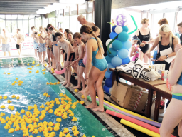 24 Stunden-Schwimmen 2017