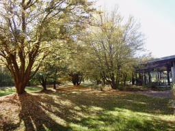 Goldener Herbst 2018