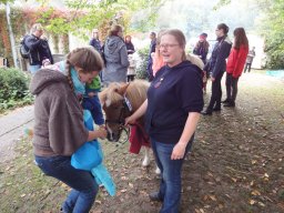 Mittelaltermarkt 2017